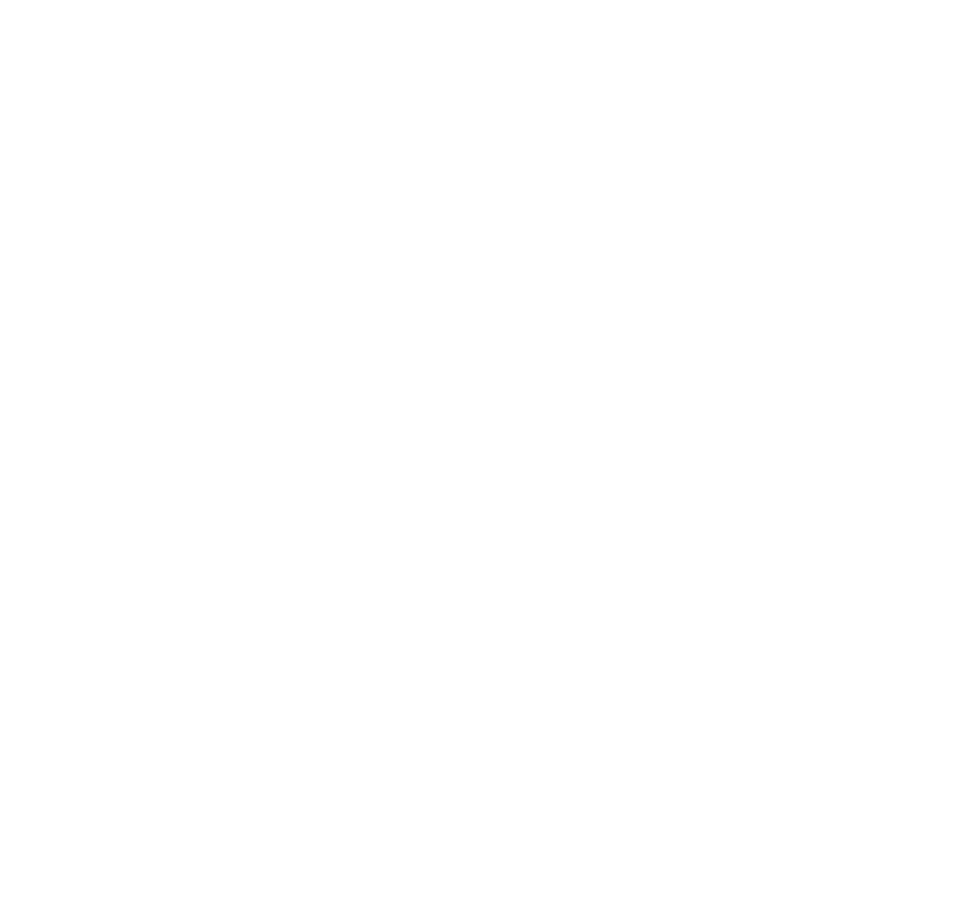 TripAdvisor Travellers choice 2016 Logo Award